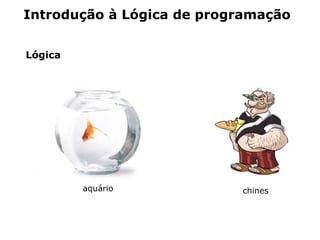 Introdução à Lógica de programação


Lógica




         aquário           chines
 