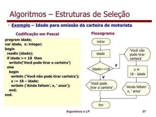 Algoritmo e lógica de programação