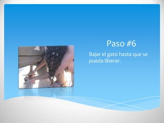 Paso #6
Bajar el gato hasta que se
pueda liberar.
 