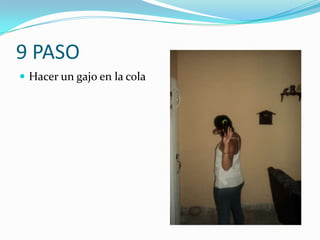 9 PASO
 Hacer un gajo en la cola
 