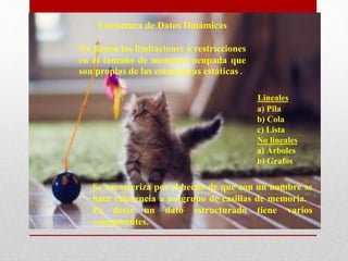 Estructura de Datos Dinámicas
No tienen las limitaciones o restricciones
en el tamaño de memoria ocupada que
son propias de las estructuras estáticas.
Se caracteriza por el hecho de que con un nombre se
hace referencia a un grupo de casillas de memoria.
Es decir un dato estructurado tiene varios
componentes.
Lineales
a) Pila
b) Cola
c) Lista
No lineales
a) Árboles
b) Grafos
 