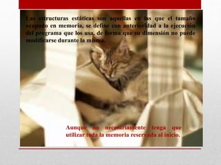 Las estructuras estáticas son aquellas en las que el tamaño
ocupado en memoria, se define con anterioridad a la ejecución
del programa que los usa, de forma que su dimensión no puede
modificarse durante la misma.
Aunque no necesariamente tenga que
utilizar toda la memoria reservada al inicio.
 