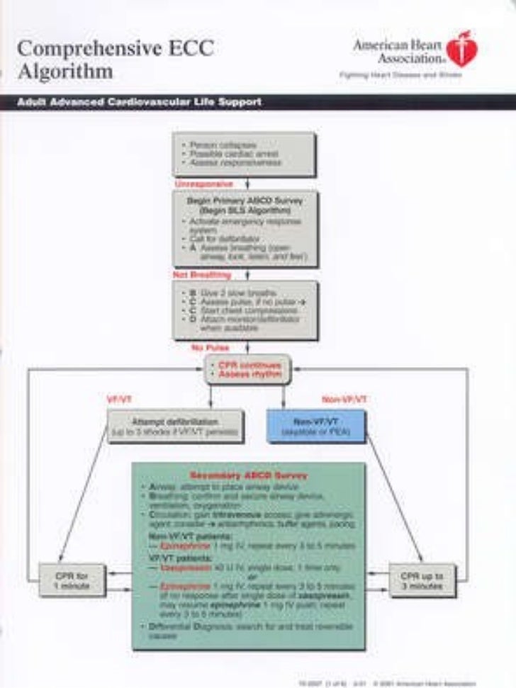 algoritmos-acls