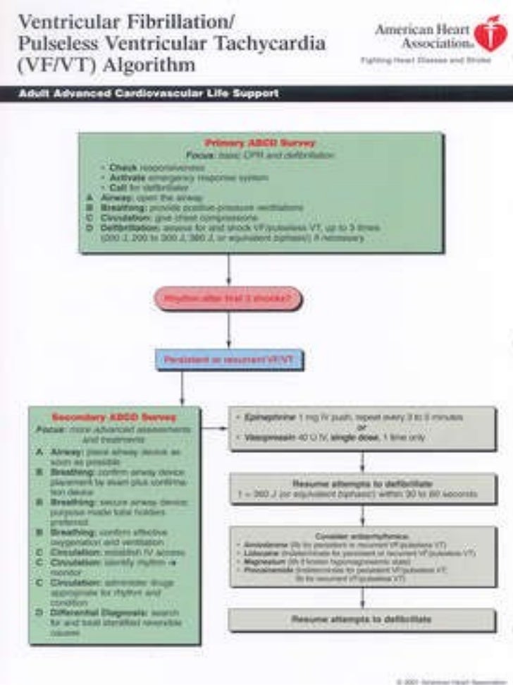 Algoritmos Acls