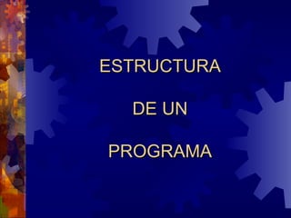 ESTRUCTURA  DE UN  PROGRAMA 
