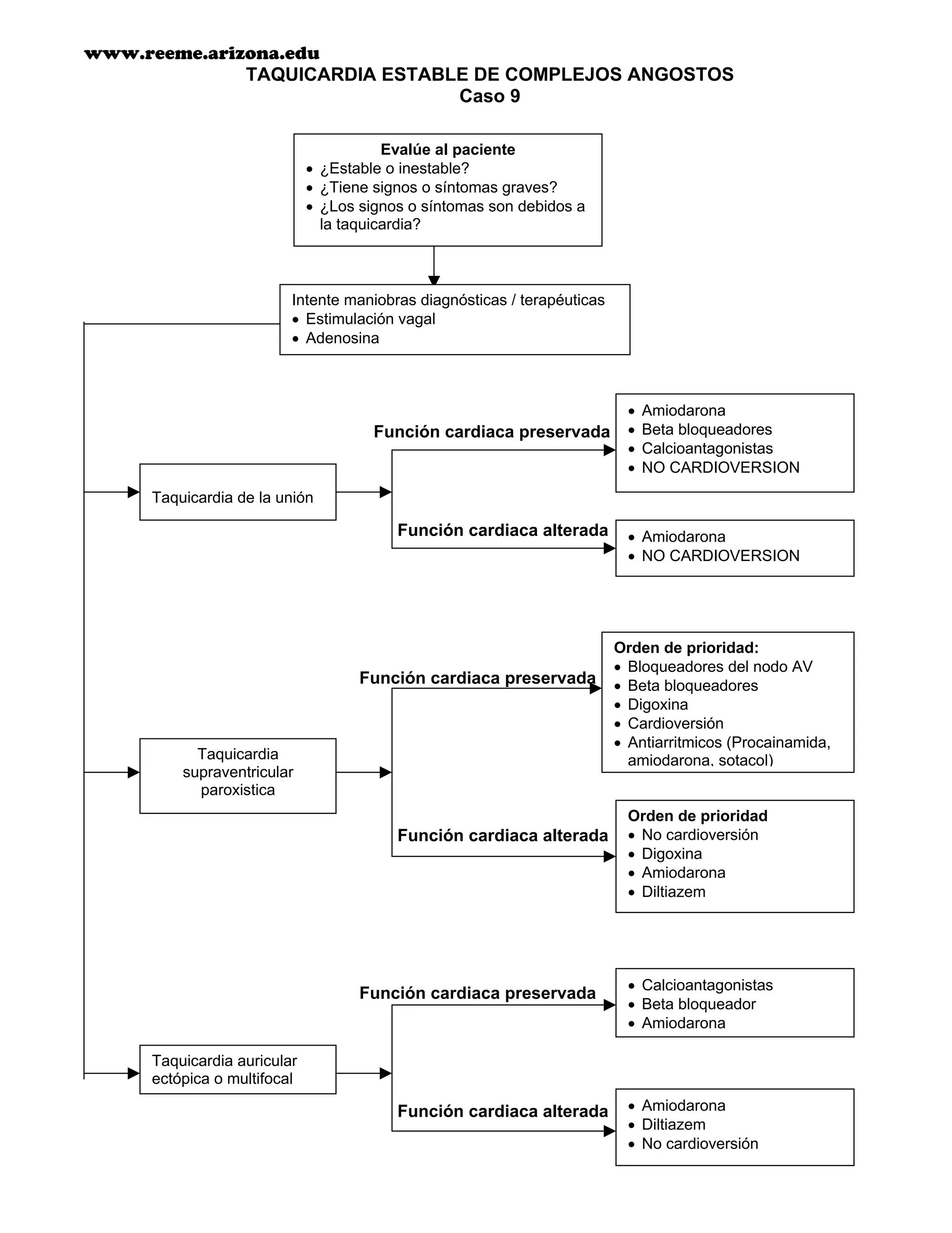 Algoritmos acls 2000 | PDF