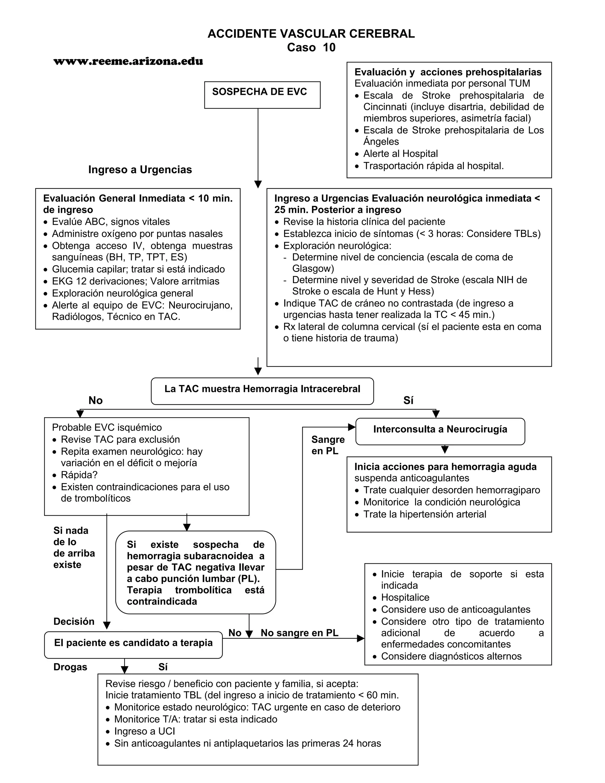 Algoritmos acls 2000 | PDF