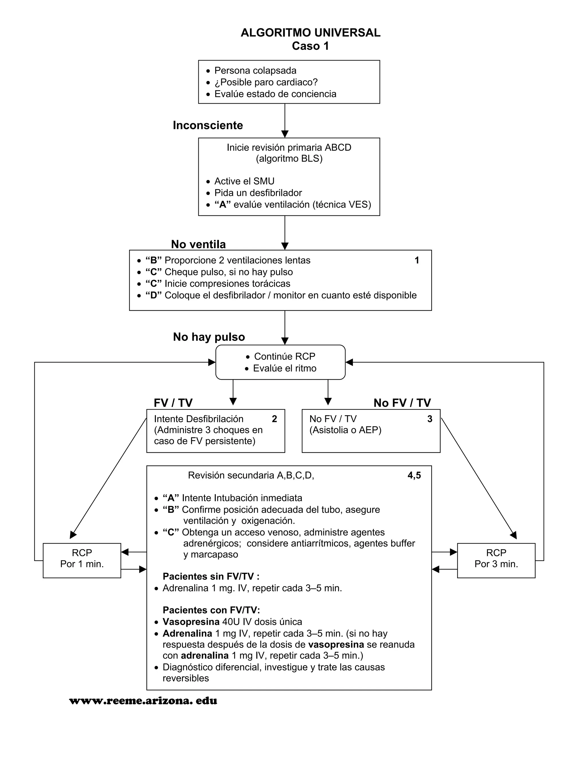 Algoritmos acls 2000 | PDF