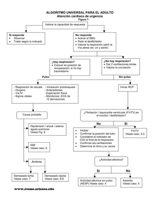 Algoritmos acls 2000 | PDF