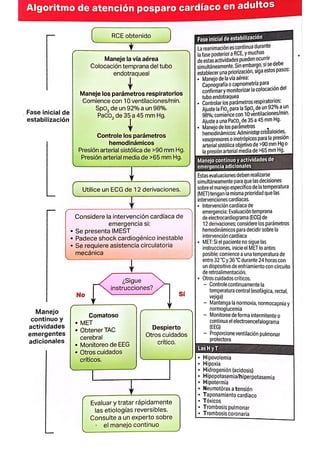 Algoritmos AHA procedimiento en el área cardiovascular | PDF