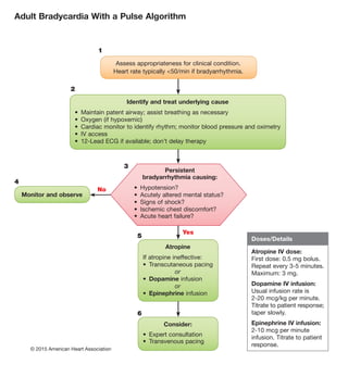 Adult Bradycardia With a Pulse Algorithm
1
2
3
4
5
6
Yes
No
Doses/Details
Atropine IV dose:
First dose: 0.5 mg bolus.
Repeat every 3-5 minutes.
Maximum: 3 mg.
Dopamine IV infusion:
Usual infusion rate is
2-20 mcg/kg per minute.
Titrate to patient response;
taper slowly.
Epinephrine IV infusion:
2-10 mcg per minute
infusion. Titrate to patient
response.
Persistent
bradyarrhythmia causing:
•  Hypotension?
•  Acutely altered mental status?
•  Signs of shock?
•  Ischemic chest discomfort?
•  Acute heart failure?
Assess appropriateness for clinical condition.
Heart rate typically 50/min if bradyarrhythmia.
Consider:
•  Expert consultation
•  Transvenous pacing
Monitor and observe
Atropine
If atropine ineffective:
•  Transcutaneous pacing
or
•  Dopamine infusion
or
•  Epinephrine infusion
Identify and treat underlying cause
•  Maintain patent airway; assist breathing as necessary
•  Oxygen (if hypoxemic)
•  Cardiac monitor to identify rhythm; monitor blood pressure and oximetry
•  IV access
•  12-Lead ECG if available; don’t delay therapy
© 2015 American Heart Association
 