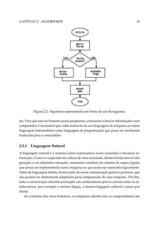 CAPÍTULO 2. ALGORITMOS

19

Figura 2.2: Algoritmo representado em forma de um ﬂuxograma.
tas. Para que um ser humano possa programar, armazenar e buscar informações num
computador, é necessário que saiba instruí-lo na sua linguagem de máquina ou numa
linguagem intermediária (uma linguagem de programação) que possa ser facilmente
traduzida para o computador.

2.5.1

Linguagem Natural

A linguagem natural é a maneira como expressamos nosso raciocínio e trocamos informação. Como é a expressão da cultura de uma sociedade, desenvolvida através das
gerações e em diferentes situações, raramente constitui um sistema de regras rígidas
que possa ser implementada numa máquina ou que possa ser transcrita logicamente.
Além da linguagem falada, fazem parte da nossa comunicação gestos e posturas, que
não podem ser diretamente adaptados para compreensão de uma máquina. Por ﬁm,
toda a comunicação eﬁciente pressupõe um conhecimento prévio comum entre os interlocutores, por exemplo a mesma língua, a mesma bagagem cultural e assim por
diante.
Ao contrário dos seres humanos, as máquinas (dentre elas os computadores) são

 