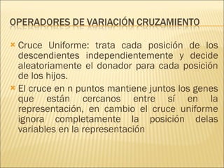 Cruce Uniforme: trata cada posición de los descendientes independientemente y decide aleatoriamente el donador para cada posición de los hijos. El cruce en n puntos mantiene juntos los genes que están cercanos entre sí en la representación, en cambio el cruce uniforme ignora completamente la posición delas variables en la representación 