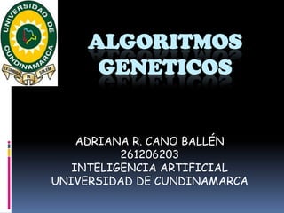 ALGORITMOS GENETICOS ADRIANA R. CANO BALLÉN 261206203 INTELIGENCIA ARTIFICIAL UNIVERSIDAD DE CUNDINAMARCA 