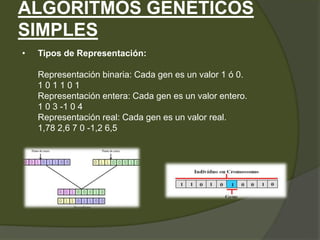 Algoritmos Genéticos (1).pptx