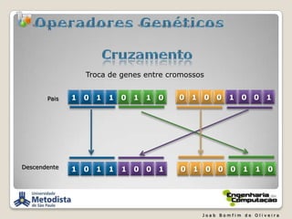 Algoritmos Memeticos