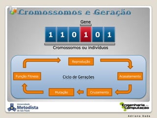 Algoritmos Memeticos