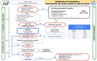 [O2] inicial 21%
Modiﬁcar según pulsioximetría
(mano derecha)
Tiempo SpO2
3 min 60-80%
5 min 75-90%
10 min 90-97%
Compresiones torácicas
Coordinadas con VPP 3:1
Ven9lar
Monitorización SpO2
Considerar ECG
Adrenalina
Sí
No
(60 s)
FC < 60
RETRASAR PINZAMIENTO CORDÓN
CUIDADOS DE RUTINA:
• Proporcionar calor
• Asegurar vía aérea abierta
• Evaluación continua
Asegurar/corregir maniobras ven9lación
Considerar Intubación
MANTENER
Tª
NORMAL
(36,5
-
37,5ºC)
–
Evitar
hipertermia
• Colocar bajo fuente de calor
• Posición cabeza, vía aérea abierta
• Aspirar si es necesario
• Secar, esXmular
• Reposicionar cabeza
Asistencia a la transición y
Reanimación del recién nacido en sala de partos
PARTO (reloj)
No
Valorar CPAP
Monitorización SpO2
Cuidados post-reanimación
¿Gestación a término?
¿Respira o llora?
¿Buen tono muscular?
FC < 100
“gasping” o apnea
Persiste FC < 100
FC < 60
FC < 60
Dificultad respiratoria
¿Ven9lación inadecuada? (comprobar TET)
¿Neumotórax? (drenar)
¿Hipovolemia? (líquidos)
¿Otros diagnósXcos?
Consejo antenatal
Comprobar material y asignación de roles
¿
NECESITAS
AYUDA
?
(30 s)
(30 s)
Considerar
aumentar FiO2
No
No
No
No
Madre
piel con piel
 