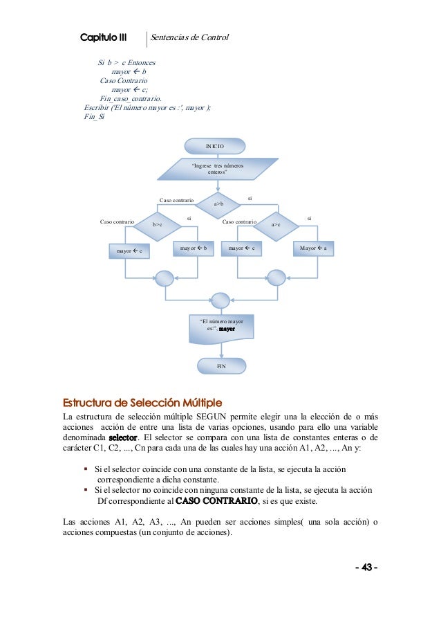 Algoritmos+y+flujogramas