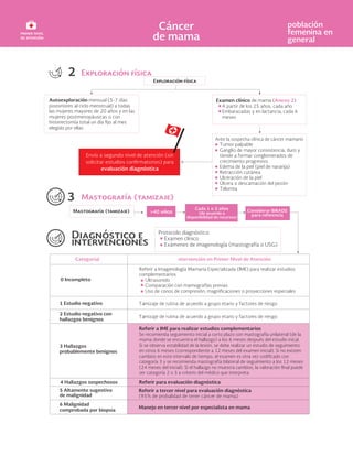 Protocolo diagnóstico:
Examen clínico
Exámenes de imagenología (mastografía o USG)
2
3
Autoexploración mensual (5-7 días
posteriores al ciclo menstrual) a todas
las mujeres mayores de 20 años y en las
mujeres postmenopáusicas o con
hister
elegido por ellas
Examen clínico de mama (Anexo 2)
A partir de los 25 años, cada año
Embarazadas y en lactancia, cada 6
meses
Ante la sospecha clínica de cáncer mamario
Tumor palpable
Ganglio de mayor consistencia, duro y
tiende a formar conglomerados de
crecimiento progresivo
Edema de la piel (piel de naranja)
Retracción cutánea
Ulceración de la piel
Úlcera o descamación del pezón
Telorrea
Envío a segundo nivel de atención (sin
solicitar estudios c
evaluación diagnóstica
Cada 1 o 2 años
(de acuerdo a
disponibilidad de recursos)
Considerar BIRADS
para referencia
0 Incompleto
1 Estudio negativo
2 Estudio negativo con
hallazgos benignos
3 Hallazgos
probablemente benignos
5 Altamente sugestivo
de malignidad
Referir a Imagenología Mamaria Especializada (IME) para realizar estudios
complementarios
Ultrasonido
Comparación con mamografías previas
Uso de conos de compr ciones o proyecciones especiales
Referir a IME para realizar estudios complementarios
Se recomienda seguimiento inicial a corto plazo con mastografía unilateral (de la
mama donde se encuentra el hallazgo) a los 6 meses después del estudio inical.
Si se observa estabilidad de la lesión, se debe realizar un estudio de seguimiento
en otros 6 meses (correspondiente a 12 meses del examen inicial). Si no existen
cambios en este intervalo de tiempo, el examen es otra vez c on
categoría 3 y se recomienda mastografía bilateral de seguimiento a los 12 meses
(24 meses del inicial). Si el hallazgo no muestra cambios, la va
ser categoría 2 o 3 a criterio del médico que interpreta
Tamizaje de rutina de acuerdo a grupo etario y factores de riesgo
Tamizaje de rutina de acuerdo a grupo etario y factores de riesgo
Referir para evaluación diagnóstica
Referir a tercer nivel para evaluación diagnóstica
(95% de probalidad de tener cáncer de mama)
6 Malignidad
comprobada por biopsia
Manejo en tercer nivel por especialista en mama
4 Hallazgos sospechosos
CategoríaI ntervención en Primer Nivel de Atención
 