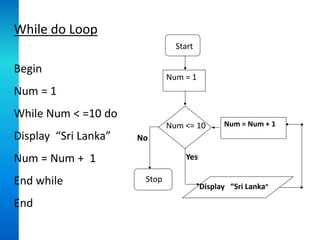 Start
Num <= 10
Display “Sri Lanka”
Num = 1
Num = Num + 1
Stop
Yes
No
While do Loop
Begin
Num = 1
While Num < =10 do
Display “Sri Lanka”
Num = Num + 1
End while
End
 
