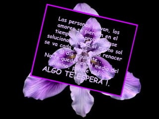 Las personas se van, los amores se pierden en el tiempo, los problemas se solucionan, hasta el mismo sol se va cada noche para renacer al día siguiente...  No te quedes en el medio del camino, porque allá... ALGO TE ESPERA !.   