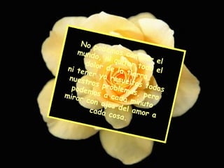 No podemos cambiar el mundo, ni quitar todo el dolor de la tierra, ni tener ya resueltos todos nuestros problemas, pero podemos a cada minuto mirar con ojos del amor a cada cosa. 