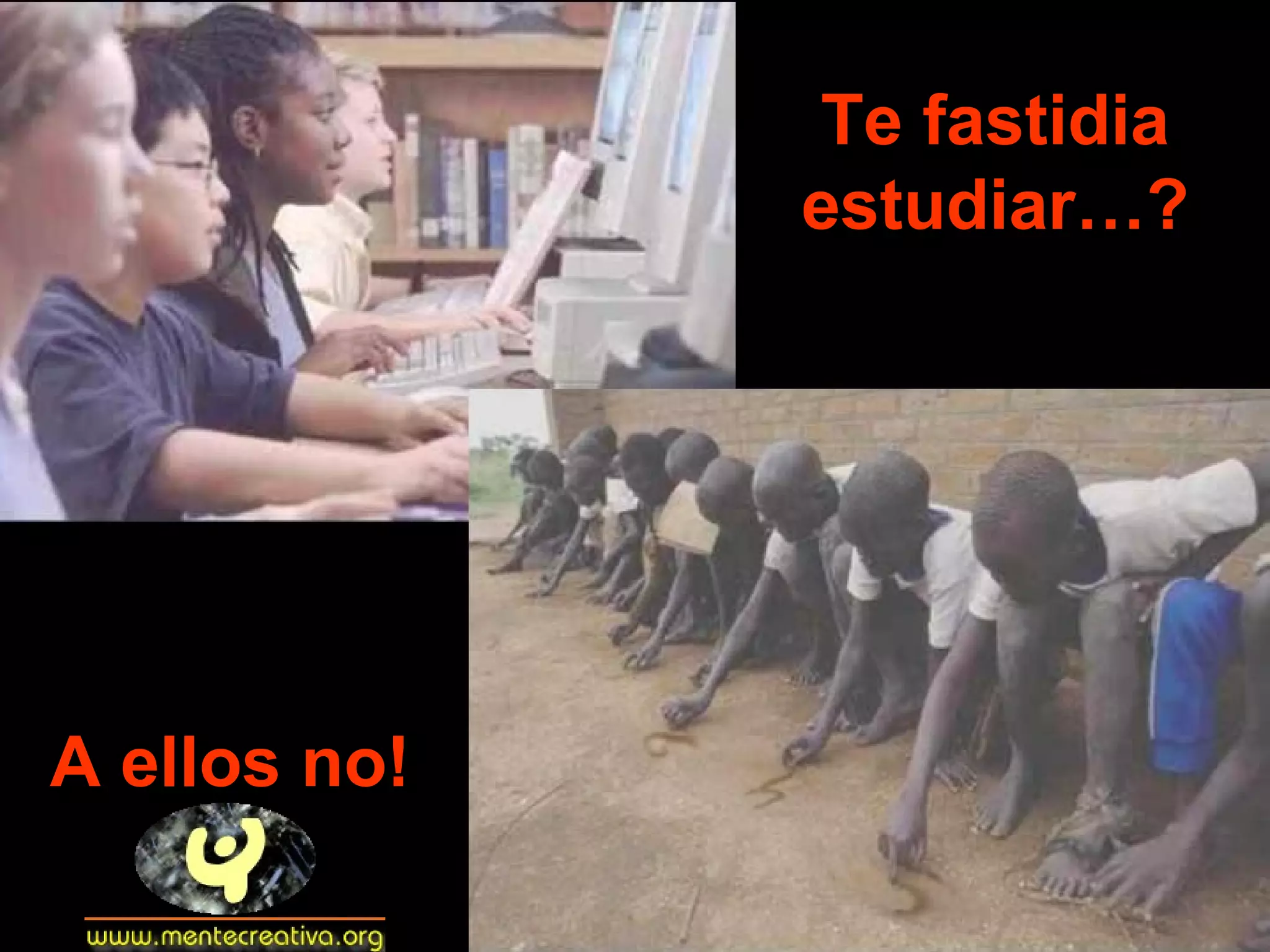 Te fastidia estudiar…? A ellos no!