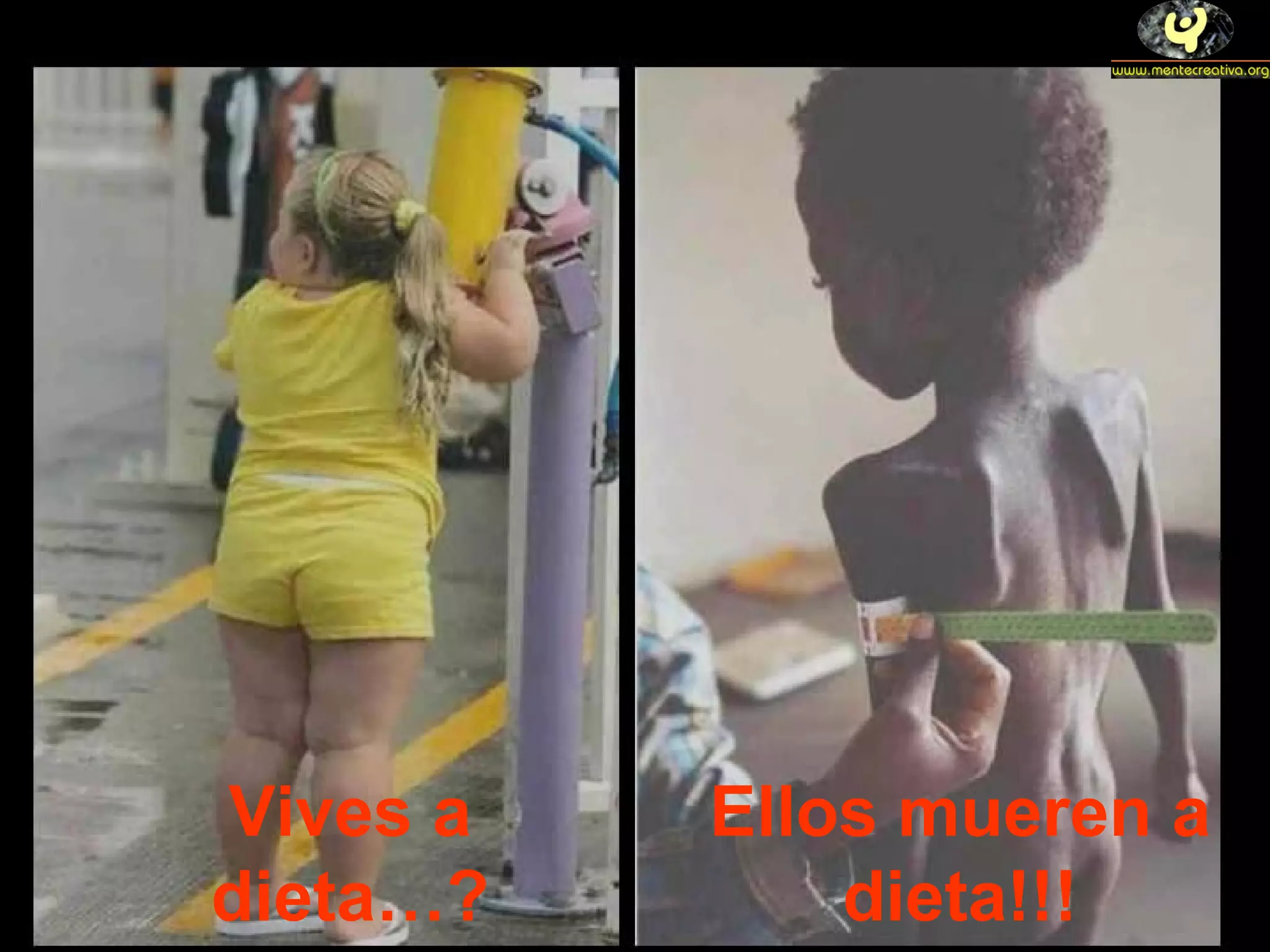 Vives a dieta…? Ellos mueren a dieta!!!