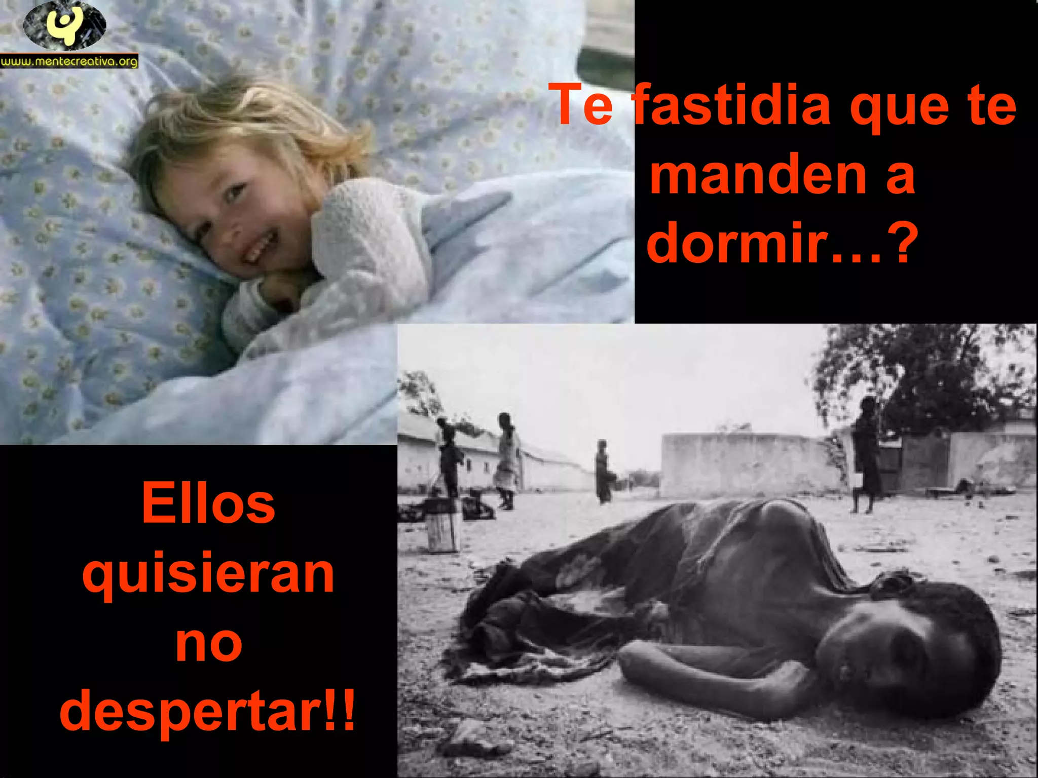 Te fastidia que te manden a dormir…? Ellos quisieran no despertar!!