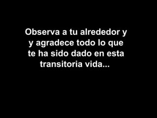Observa a tu alrededor y y agradece todo lo que te ha sido dado en esta transitoria vida...  