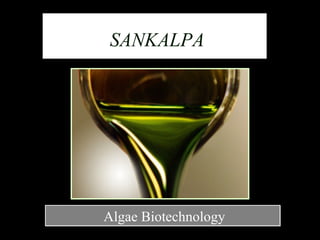 SANKALPASANKALPA
Algae BiotechnologyAlgae Biotechnology
 