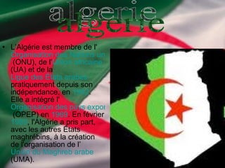 L’Algérie est membre de l' Organisation des Nations unies  (ONU), de l’ Union africaine  (UA) et de la  Ligue des États arabes  pratiquement depuis son indépendance, en  1962 . Elle a intégré l' Organisation des pays exportateurs de pétrole  (OPEP) en  1969 . En février  1989 , l'Algérie a pris part, avec les autres États maghrébins, à la création de l'organisation de l’ Union du Maghreb arabe  (UMA). algerie 