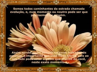 Somos todos caminhantes da estrada chamada evolução, e, num momento ou noutro pode ser que precisemos de alguém.   Assim sendo, como sempre estamos rodeados de pessoas, é importante que você fique alerta, pois ao seu lado pode estar alguém que precise de você, neste exato momento.   