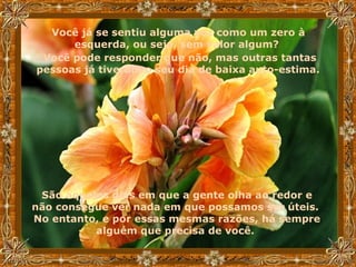 Você já se sentiu alguma vez como um zero à esquerda, ou seja, sem valor algum?  Você pode responder que não, mas outras tantas pessoas já tiveram o seu dia de baixa auto-estima.   São aqueles dias em que a gente olha ao redor e não consegue ver nada em que possamos ser úteis.  No entanto, e por essas mesmas razões, há sempre alguém que precisa de você.   