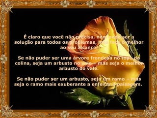 É claro que você não precisa, nem pode ser a solução para todos os problemas, mas faça o melhor ao seu alcance. Se não puder ser uma árvore frondosa no topo da colina, seja um arbusto no vale – mas seja o melhor arbusto do vale. Se não puder ser um arbusto, seja um ramo – mas seja o ramo mais exuberante a enfeitar a paisagem.   