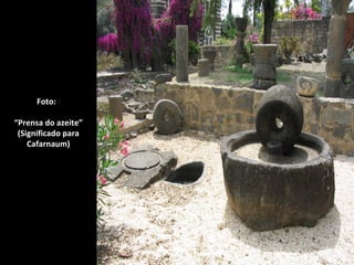 Foto:

“Prensa do azeite”
 (Significado para
    Cafarnaum)
 
