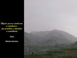 Alguns passos conduzem
     a espinheiros,
que prendem e retardam
     a caminhada.

         Foto:

    Monte Hermon.
 