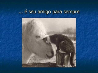 ... é seu amigo para sempre 