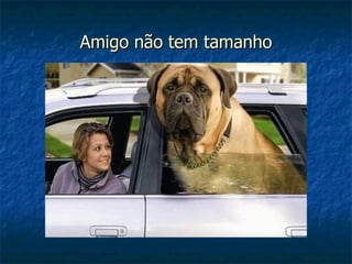 Amigo não tem tamanho 