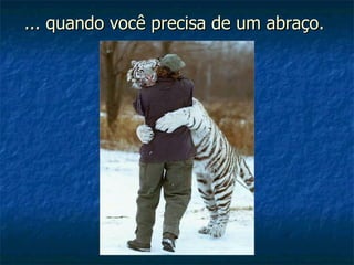 ... quando você precisa de um abraço.  
