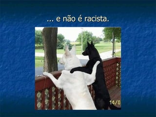 ... e não é racista. 