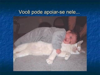 Você pode apoiar-se nele...Você pode apoiar-se nele...
 