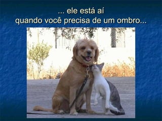... ele está aí... ele está aí
quando você precisa de um ombro...quando você precisa de um ombro...
 