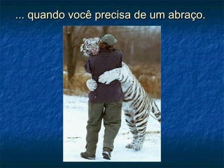... quando você precisa de um abraço.... quando você precisa de um abraço.
 