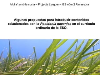 Mulla’t amb la costa – Projecte L’alguer – IES núm.2 Almassora Algunas propuestas para introducir contenidos relacionados con la  Posidonia oceanica  en el currículo ordinario de la ESO. 