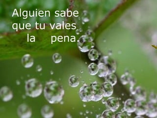 Alguien sabe que tu vales la  pena. 