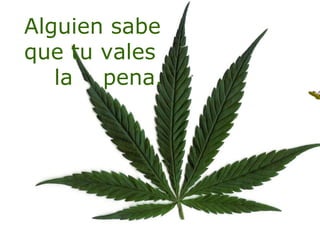 Alguien sabe que tu vales la  pena. 