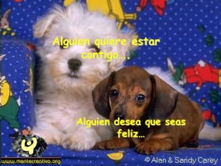 Alguien quiere estar
contigo….
Alguien desea que seas
feliz…