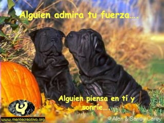 Alguien admira tu fuerza….
Alguien piensa en tí y
sonríe….